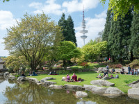 Planten un Blomen