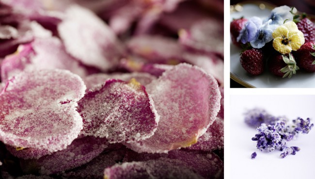 Kandierte Blüten - Köstlich | Piste Lübeck