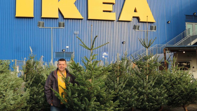 Bio Weihnachtsbäume bei Ikea