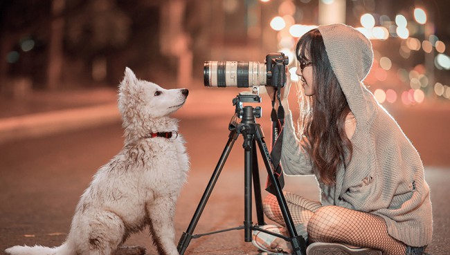 Filmhundecasting bei der Hundemesse