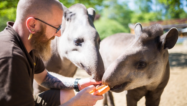 Verschenke Tierpatenschaften vom Schweriner Zoo
