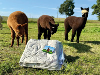 Flauschige Wanderung & Decken