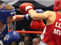 BOX-ACTION IN GRABOW