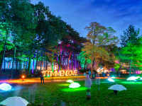 Magische Lichtmomente im Kurpark