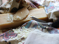 Herbstferien im Hansemuseum