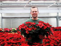 Greift nach Rostocks schönsten Sternen