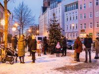 Lebendiger Adventskalender