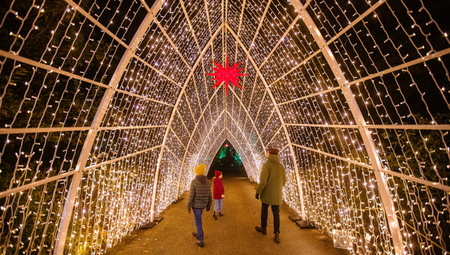 Christmas Garden: Funkelnder Winterzauber im Loki-Schmidt-Garten
