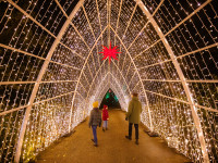 Christmas Garden: Funkelnder Winterzauber im Loki-Schmidt-Garten