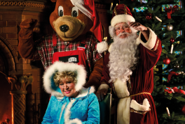 Digitaler Adventskalender der Wiro