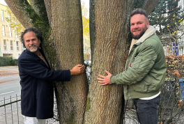 Bäume für die Piste