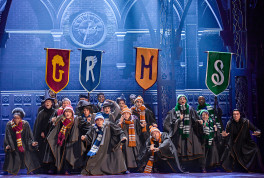 Harry Potter Show endet in Hamburg im Sommer 2026