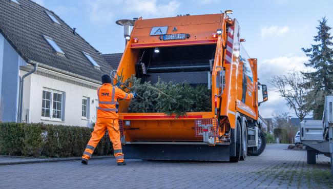 Weihnachtsbaum Abfuhr beginnt am 5. Januar