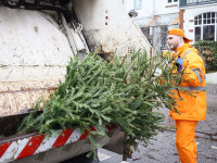 Weihnachtsbaum Abfuhr 2026