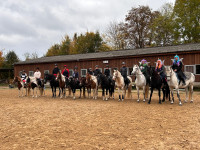 Pferdehof Friedrichsmoor erweitert Angebot um Reittherapie