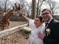Heiraten im Zoo Schwerin