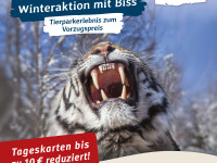 Winteraktion im Tierpark Hagenbeck