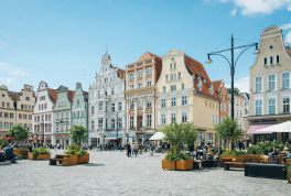Rostock testet Begrünung