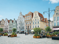 Rostock testet Begrünung