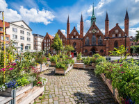 Grüner wird’s nicht – oder doch?