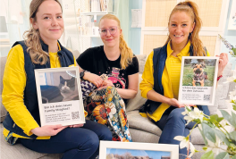 Pfotenstarke Unterstützung von Ikea