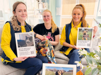 Pfotenstarke Unterstützung von Ikea