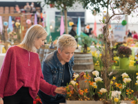 Frühlingsstart in der Hanse Messe