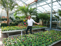 Bunte Vielfalt für deinen Garten und Balkon