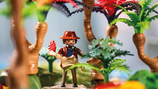 Die Evolution der Tiere mit Playmobil 
