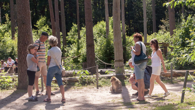 Sommerrodelbahn & Affenwald Malchow
