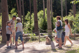 Sommerrodelbahn & Affenwald Malchow