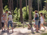 Sommerrodelbahn & Affenwald Malchow
