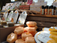 Hanseschau 2026: Tradition neu erleben