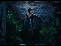 Kiss of the Spider Woman