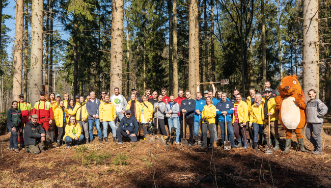 2000 Bäume für den Wald
