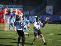 Probetraining bei den Seals