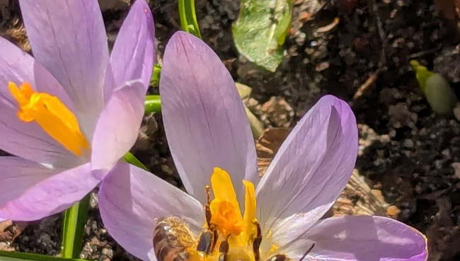 Premiere für die Naturschutzwoche
