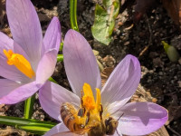 Premiere für die Naturschutzwoche