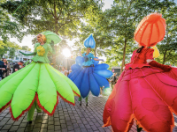 HanseKulturFestival 2026: Lübeck feiert im Seefahrerviertel