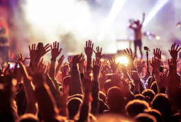 AYCD 2026 Festival der Vielfalt wächst weiter