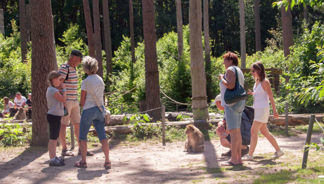 Sommerrodelbahn & der Affenwald Malchow