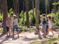 Sommerrodelbahn & der Affenwald Malchow