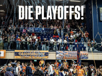Play-Ins in Rostock: SEAWOLVES empfangen Ludwigsburg