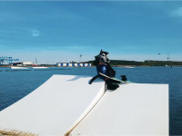 Seawolves Sommerfest am 28. Juni