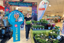 Rewe in Reutershagen
