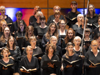 SHMF: Die Musikfeste auf dem Lande 2026