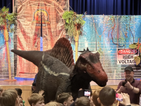 Die Jurassic-Liveshow kommt nach Travemünde
