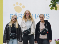 Drei neue für die Kita