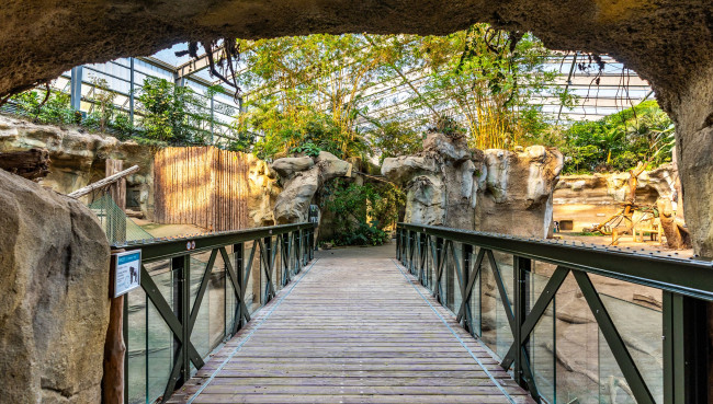 Frischer Glanz für die Tropenhalle im Darwineum
