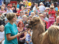 Zoo & Dahlienfest am 13. September